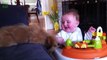 So cute Puppies and Babies Playing Together - adorable Compilation 2014