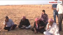 Kürt Yetkili: IŞİD, 16 Kürt Köyünü Ele Geçirdi