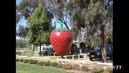 Гигантомания в Австралии