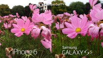 iPhone 6_6 Plus vs Samsung Galaxy S5 - Camera Test Comparison