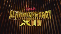 TNA Slammiversary 2014 Review