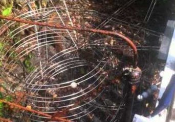 Oregon Resident Builds Golf Ball Roller Coaster