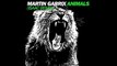 Martin Garrix Animals (Isaac Remix)