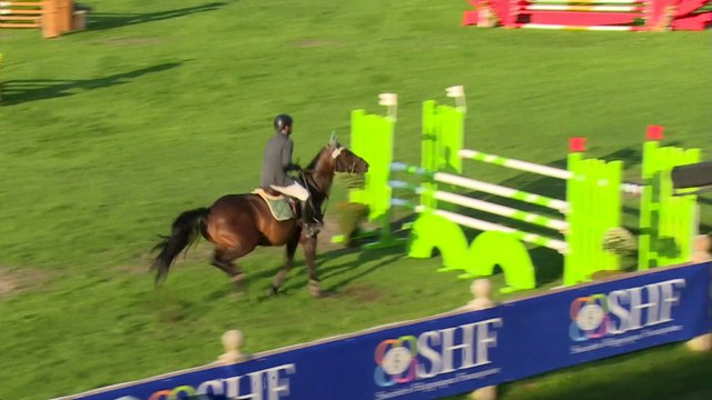 Veryquikstar de Bavoz Grande semaine de Fontainebleau 2014, jument de 5 ans par Quick Star et Hottonie par Rox de La Touche