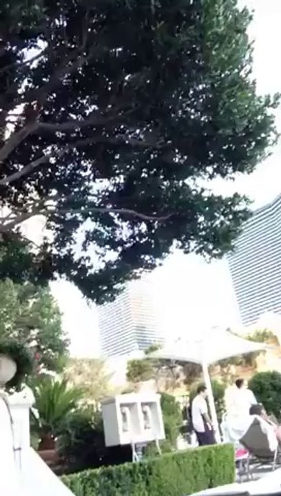 Bellagio Garden