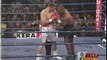 Mike Tyson VS Andrew Golota (The Palace, Auburn Hills, Michigan, USA, 2000-10-20)