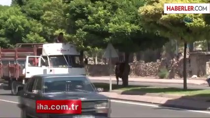 Kayseri'de Dehşete Düşüren Görüntü