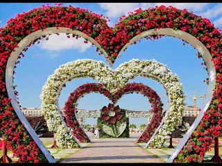 koi mere dil da haal na janay