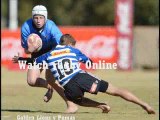 watch Golden Lions vs Pumas live rugby match