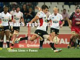 Golden Lions vs Pumas rugby live match