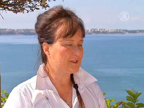 В Новой Зеландии вымирают дельфины