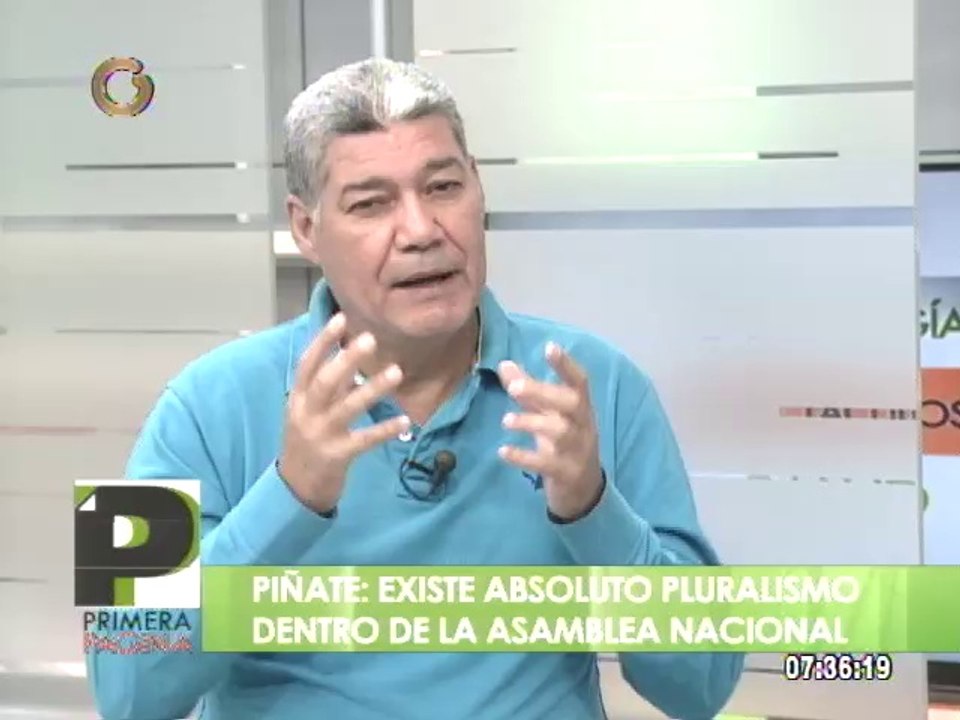 Diputado Piñate: Existe absoluto pluralismo en la AN