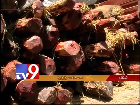 Red Sanders smugglers attempt to kill policemen in Kadapa