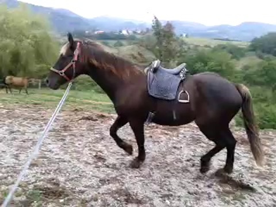 video-2014-09-18-14-30-17