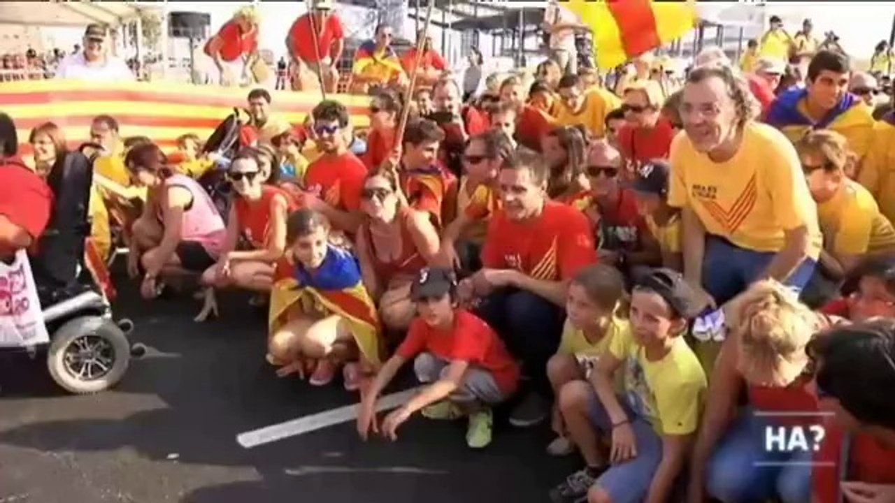 TV3 - Alguna pregunta més? APM - L'Homo APM? a la V