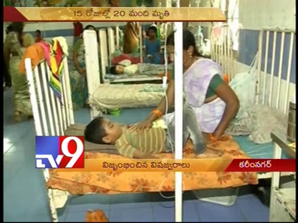 Viral fevers kill 20 in Karimnagar over past fortnight