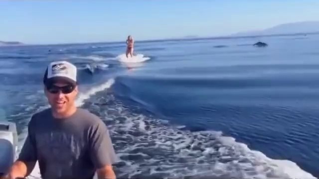 Woman Gets Unexpected Visitors While Water Skiing
