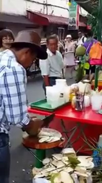 Coconut Art