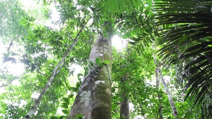 Road to Machu Picchu - Peru in 4K
