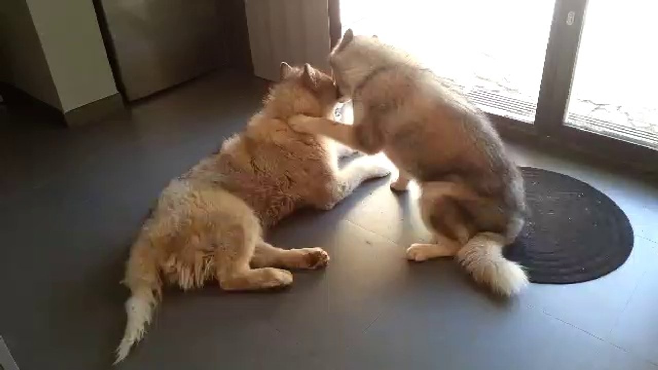 VID-20140915-WA0000