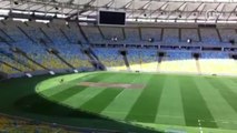 Parte do gramado do Maracanã começa a ser replantada