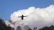 DC-10 airplane throwing delaying fire product on New mexico forest fire.