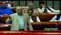 Mushahidullah Khan Abusing PTI & PAT Sit-in Participants in Parliament
