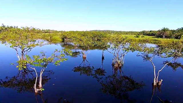 Praia do Forte – Bahia – Drone mostrando as belezas da Praia do Forte IBBI Imoveis - YouTube