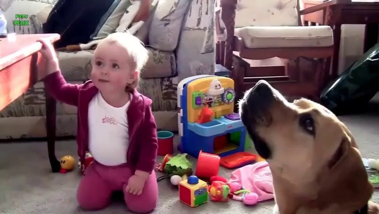 Babies Laughing at Dogs Eating Bubbles Compilation 2014 [NEW HD]