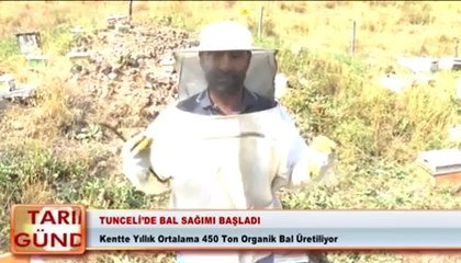 Tunceli’de bal sağımı başladı
