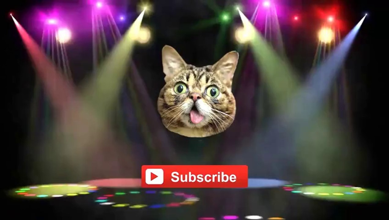 Dog Getting Licked by Funny Goat