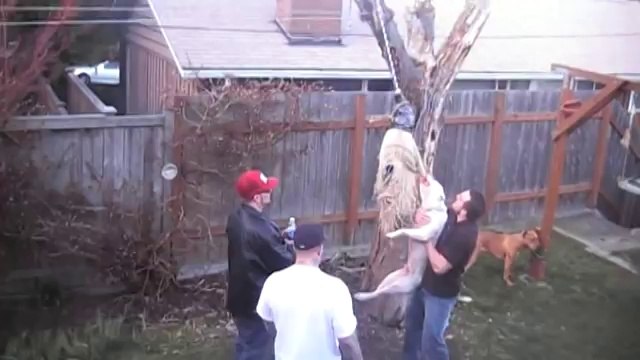 Amazing pit bull jump MUST SEE !!!!!!!!!!