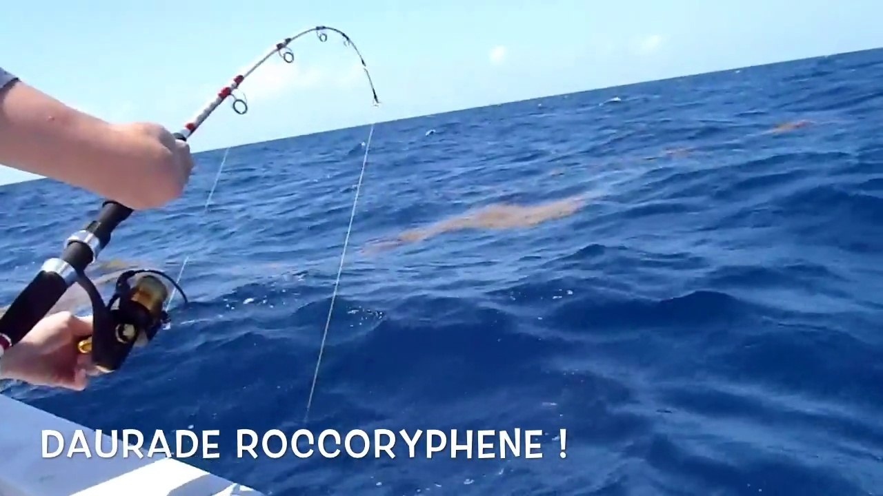 Martinique 2014, le film