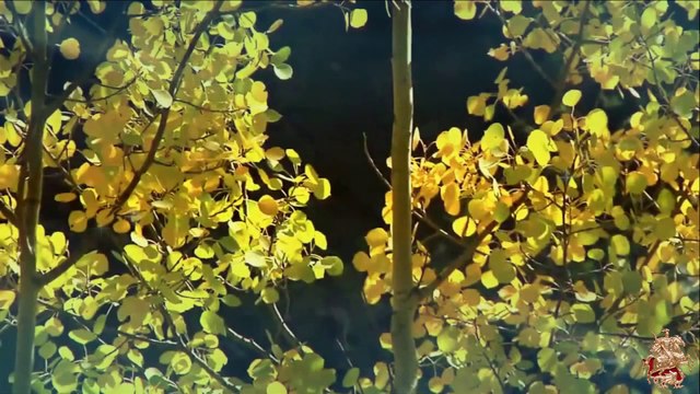 ♛♫♥Manuel Rocca - Esperanza(Original Mix)[Silent Shore White]♥♫♛