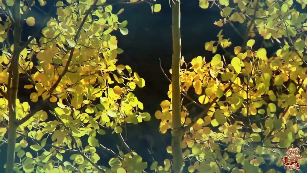 ♛♫♥Manuel Rocca - Esperanza(Original Mix)[Silent Shore White]♥♫♛