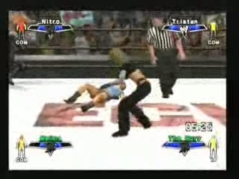 Mixed Tag Team Match
