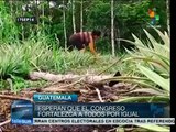 Campesinos guatemaltecos exigen derogación de Ley Monsanto