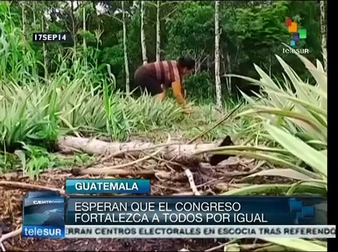 Campesinos guatemaltecos exigen derogación de Ley Monsanto