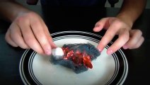 Starting a Fire With a Battery and Steel Wool - Zombie Survival Tips #9