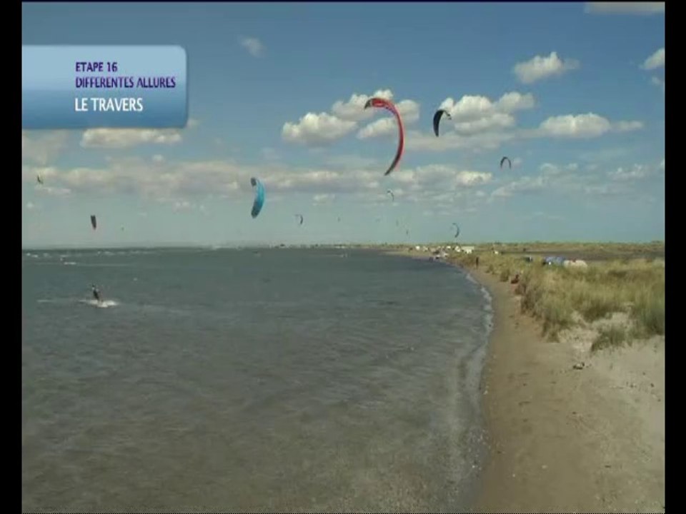 14-les differentes allures