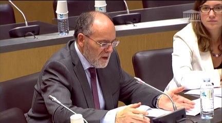 Audition de M. Guillaume Duval, rédacteur en chef de la revue Alternatives économiques - Jeudi 18 Septembre 2014