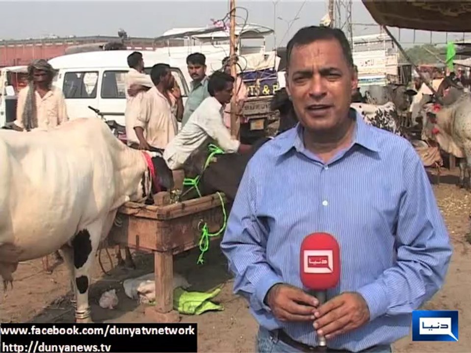 Dunya news-Citizens throng cattle markets ahead of Eid-ul-Azha