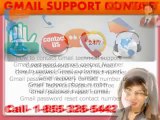 Gmail Customer Support Number,For Password Recovery