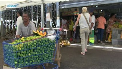 Là-bas...en Martinique : la bibliothèque de Fort-de-France