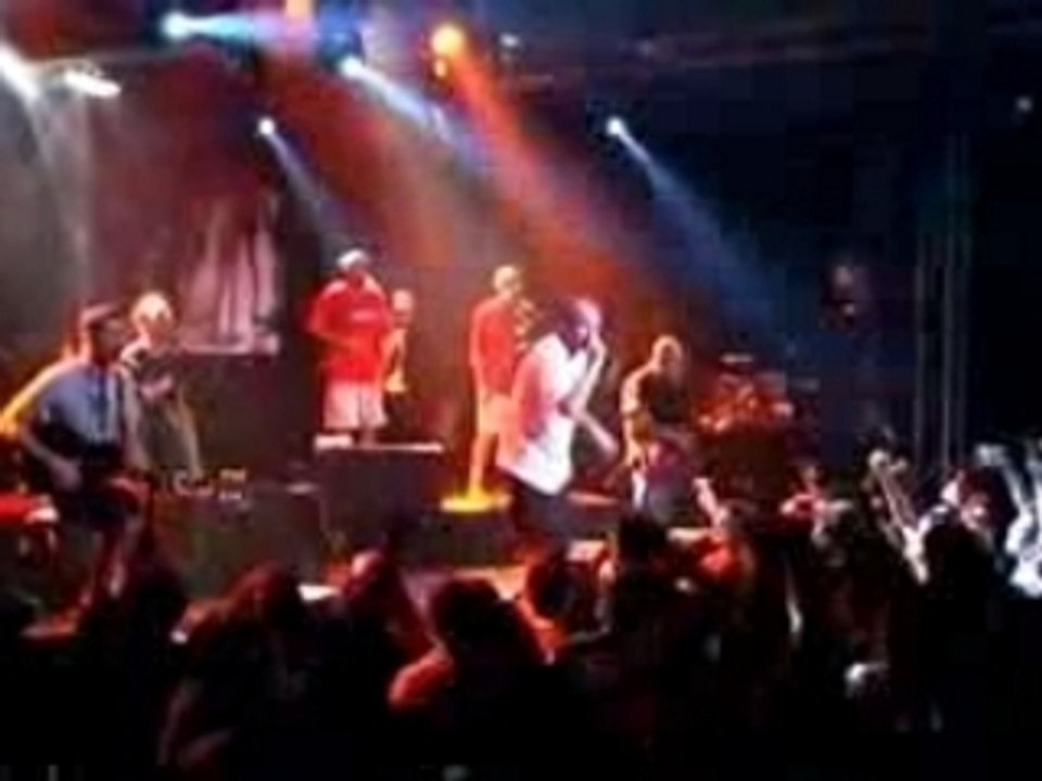 Les cameleons - live part 2