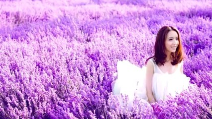 7 ứng dụng thuần việt cho android được ưa chuộng nhất hiện nay