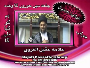 جنت میں حوروں کا وعدہ(خواتین کا سوال) ۔ مولانا عقیل الغروی