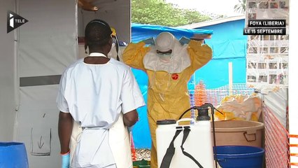 Ebola : la Française contaminée hospitalisée à Saint-Mandé