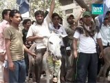Riding donkeys to protest against petrol price hike