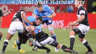 watch Blue Bulls vs Natal Sharks live online